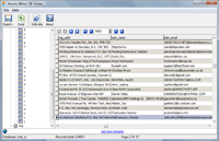 Domain owners email addresses, name and other whois information